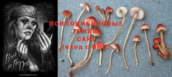 каннабис Верхний Тагил